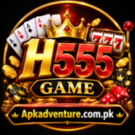 H555 Game