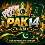Pak14 Game
