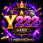 Y222 Game